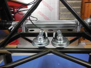 Horns in place
