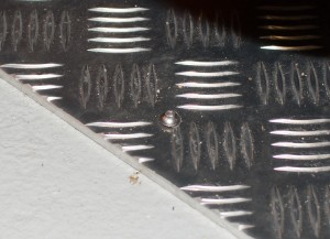 D55_0836